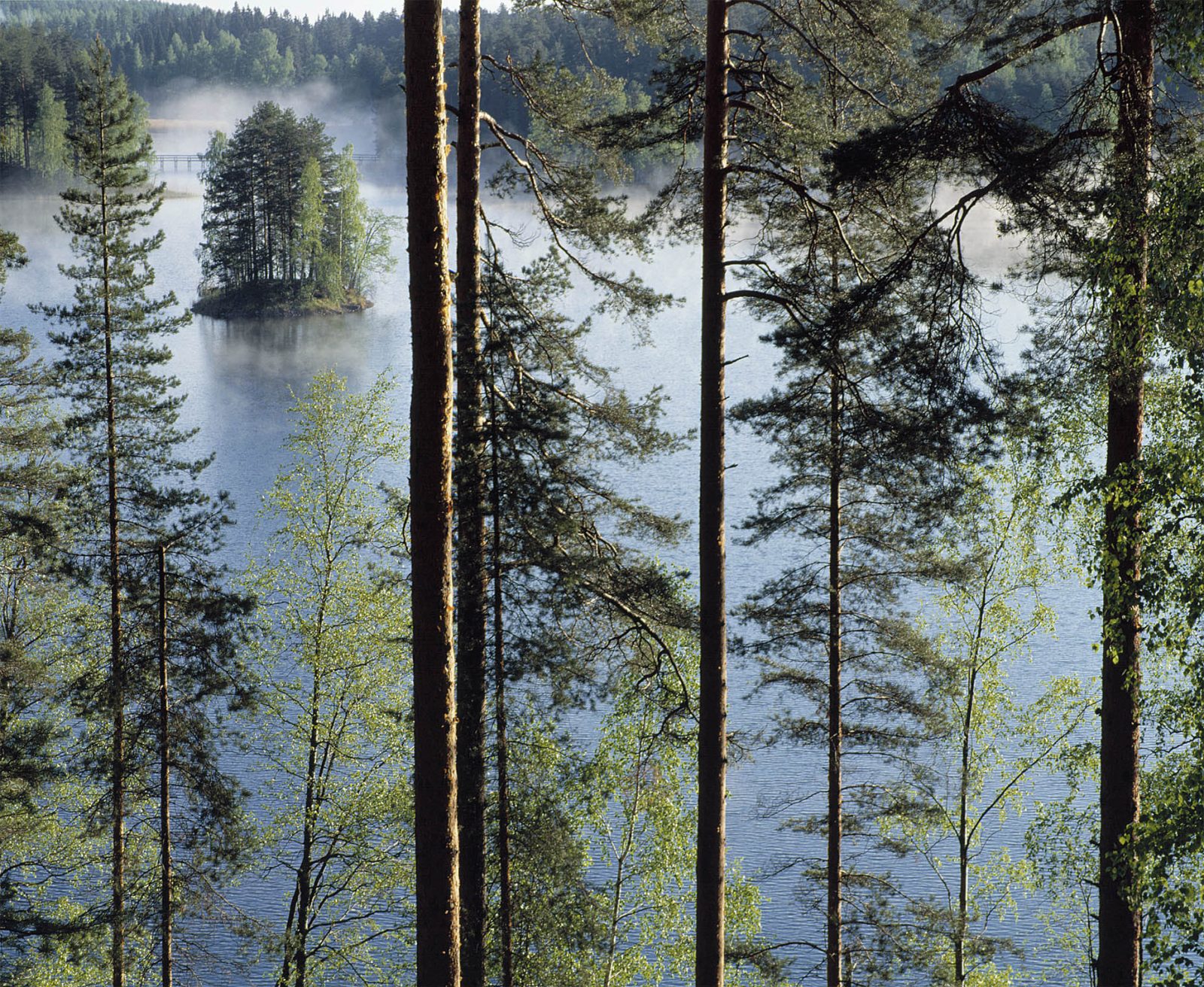 Opastettu harjukierros Punkaharjun kansallismaisemaan