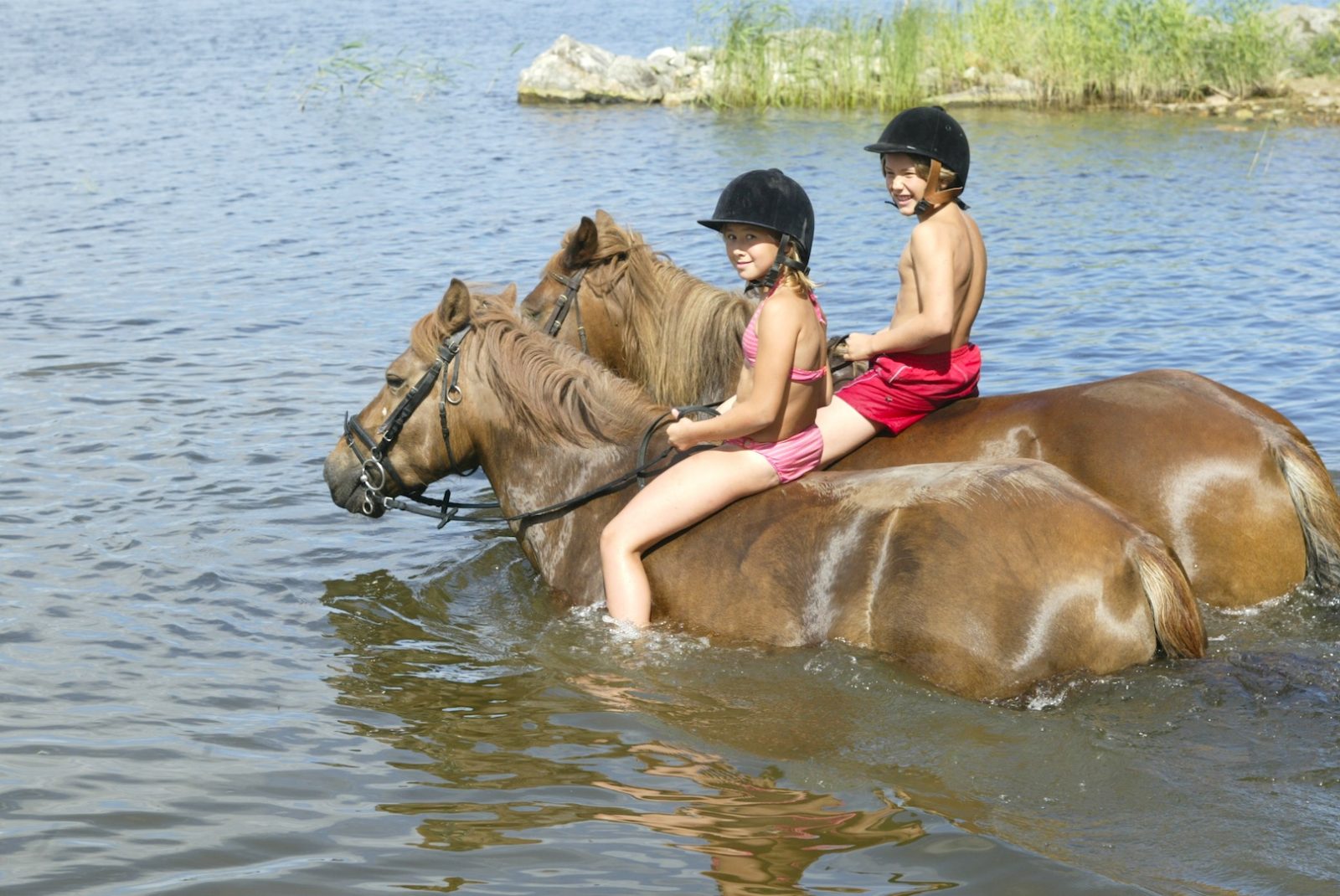 Hevosten uittaminen Puruvedessä | Matkailutila Naaranlahti