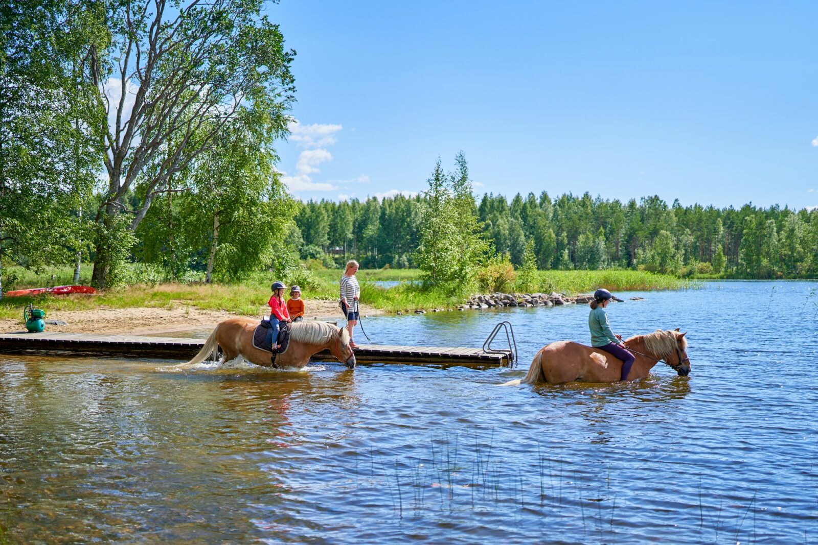 Hevosten uittaminen järvessä