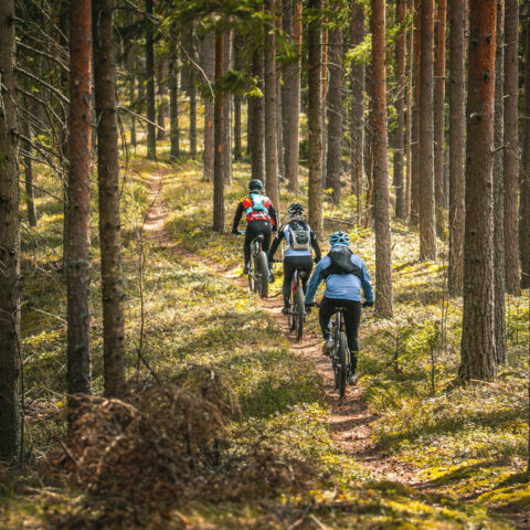 valinevuokraamo-punkaharju-mm-sahko-ja-gravelpyorat-kajakit