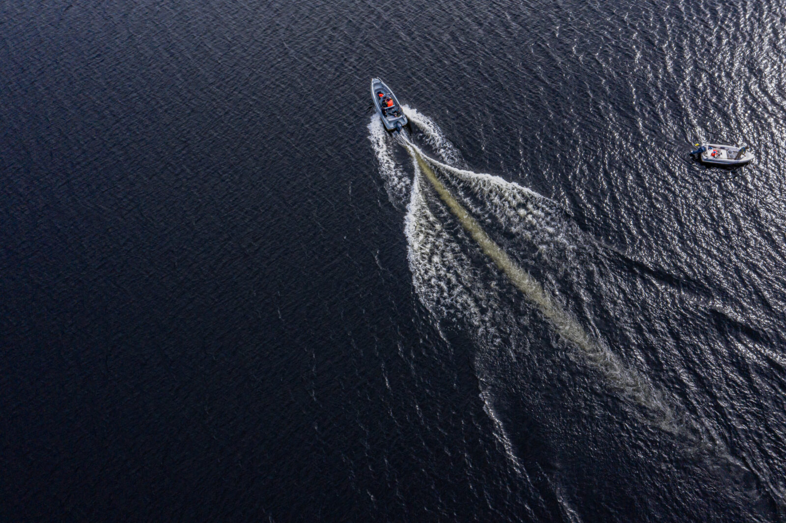 Puruvesi Vendace Trip: A Journey into Local Delicacies