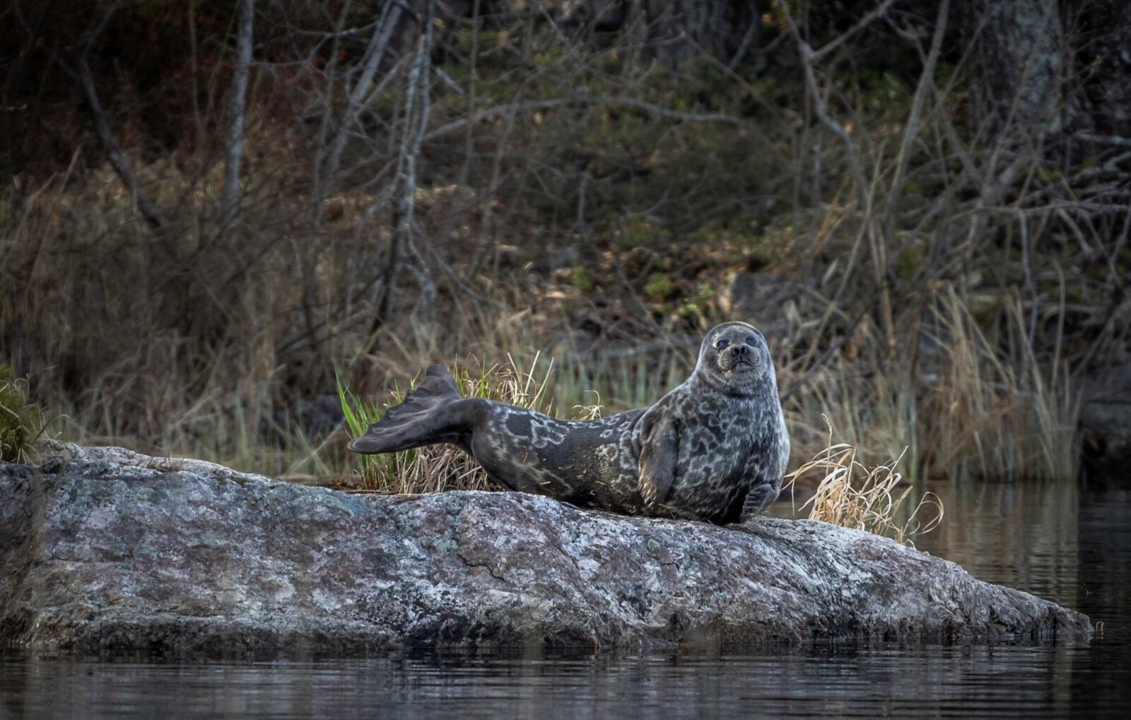 Valokuvausviikonloput