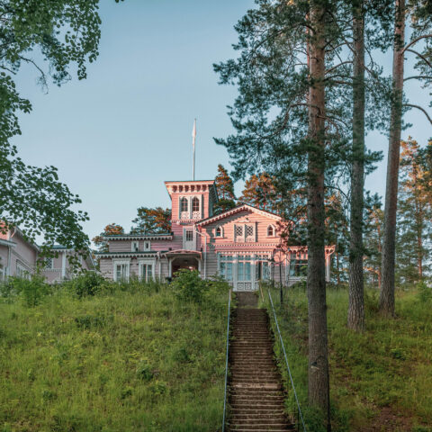 © Jani Snellman